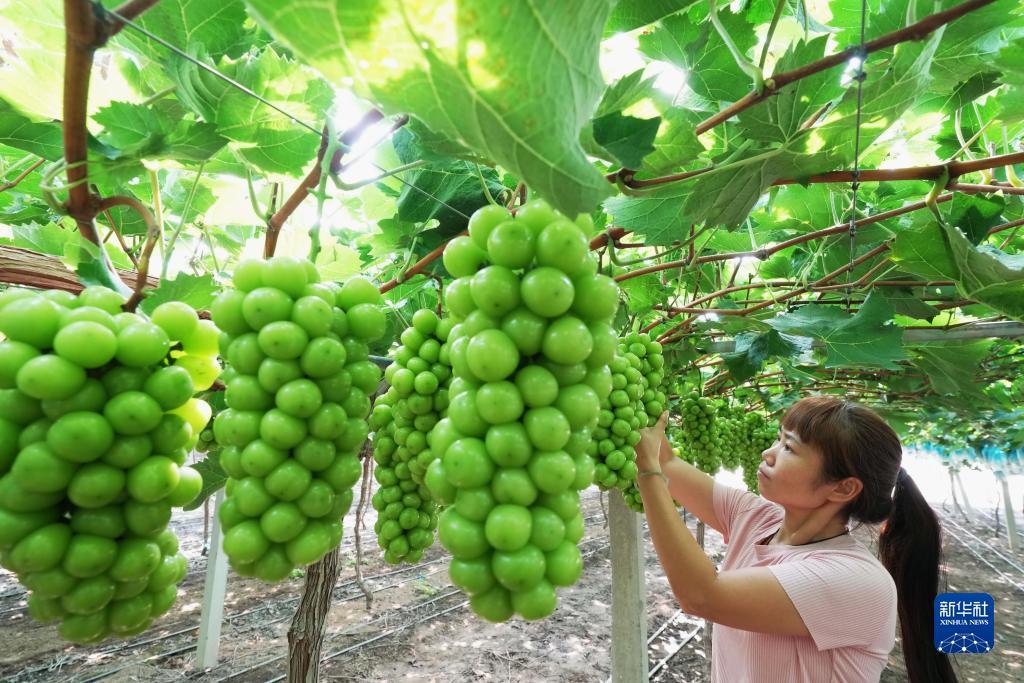 免费梭哈游戏